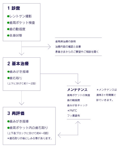 歯周病予防図.jpg